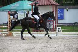 Тренування по конному спорту - VDALA.PRO