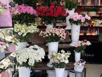 Продам цветочный бизнес - VDALA.PRO