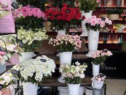Продам цветочный бизнес Продам цветочный бизнес - VDALA.PRO