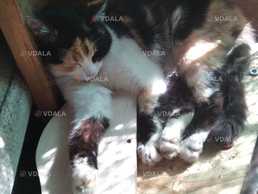 Переселенцям в Краматорську потрібна допомога в продуктах харчування - VDALA.PRO