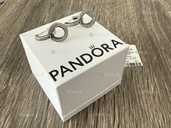 Сяючі подвійні сережки Pandora - VDALA.PRO