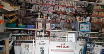 Рабочий бизнес - VDALA.PRO