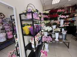 Продамо квітковий бізнес Продамо квітковий бізнес - VDALA.PRO