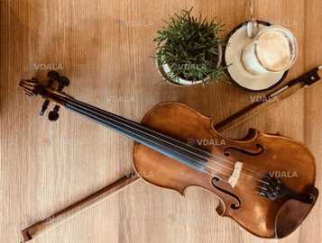 Уроки скрипки, репетитор - VDALA.PRO