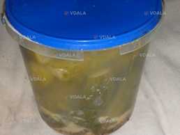 Квашені огірки з гірчицею - VDALA.PRO