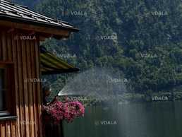 Марафон з англійської мови по фільму(Рівень A1-A2) - VDALA.PRO