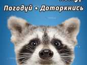 Сімейний зоопарк «Лемур» - VDALA.PRO