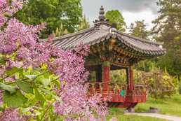 Екскурсії Національний ботанічний сад імені М.М.Гришка - VDALA.PRO