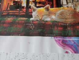 картина по номерам - VDALA.PRO