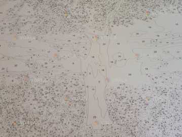 картина по номерам - VDALA.PRO