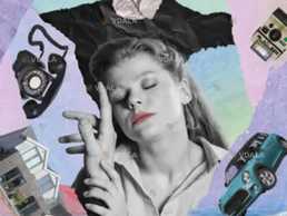 Черный дрозд - VDALA.PRO