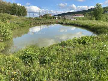 Земельна ділянка біля Східниці - VDALA.PRO