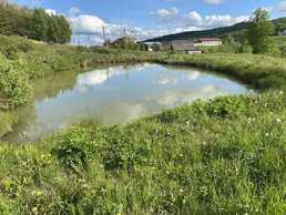 Земельна ділянка біля Східниці - VDALA.PRO