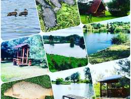 Продам Земельна ділянка 5 га. - VDALA.PRO