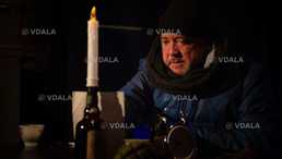 Сірі бджоли - VDALA.PRO