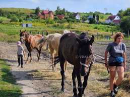 🎠 Кінні прогулянки та спокій природи під Києвом У селі Кодаки - VDALA.PRO