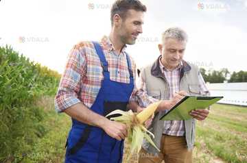 Агроном - VDALA.PRO