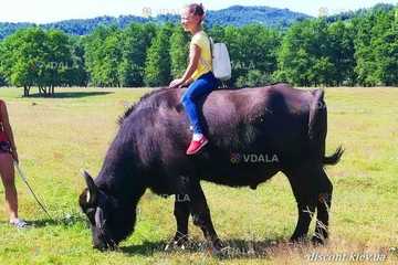 Туристическая компания EtnoSvit - VDALA.PRO