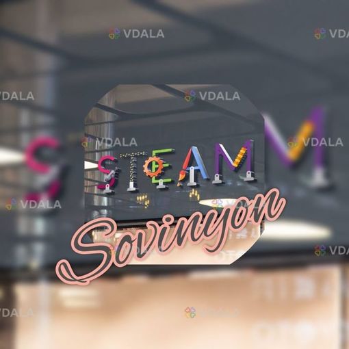 Steam school Sovinyon - VDALA.PRO
