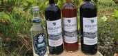 Экскурсия на винодельню «Berezhnyi Winery» - VDALA.PRO - 2