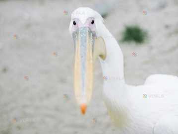 Парк «xii Месяцев» - VDALA.PRO