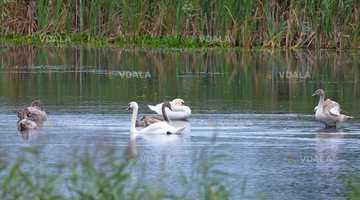 Национальный природный парк «Залесье» - VDALA.PRO