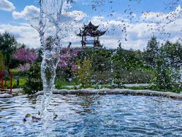 Парк «Остров Сакуры» - VDALA.PRO