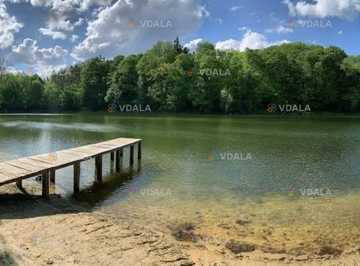 Дендропарк Нескучное - VDALA.PRO