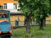 Дендропарк Кропивницький - VDALA.PRO - 3