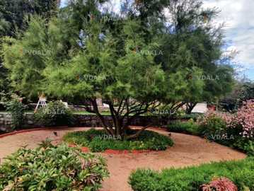 Ландшафтный парк Светланы Кульбашной - VDALA.PRO