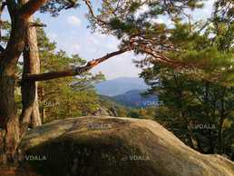 Карпатський Трамвай і Скелі Довбуша Карпатський Трамвай і Скелі Довбуша - VDALA.PRO