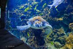 Львовский океанариум - VDALA.PRO