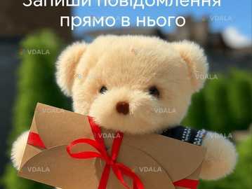 Плюшевий ведмедик з вашим голосом | Подарунок з аудіо-повідомленням (3 - VDALA.PRO