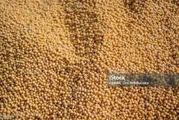 обмін сої на соєву макуху - VDALA.PRO