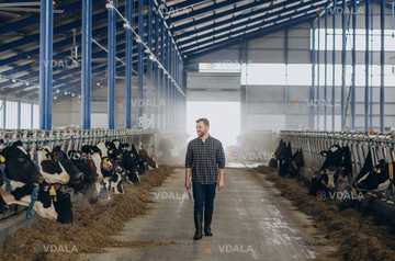 Зоотехнік на тваринницький комплекс (молочна ферма) - VDALA.PRO
