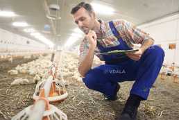 Молодший зоотехнік (ВРХ) Місце роботи: Черкаська обл. - VDALA.PRO