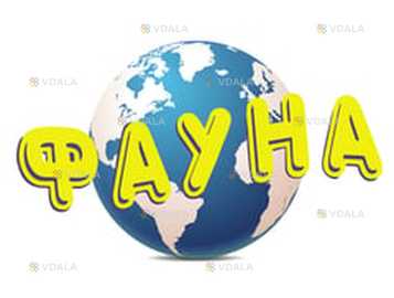 Маркетолог - VDALA.PRO