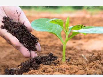 Перегній навоз - VDALA.PRO