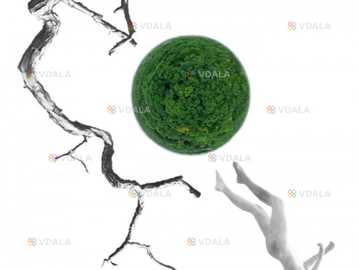 «lisova». За Лесею Українкою (онатоб) - VDALA.PRO