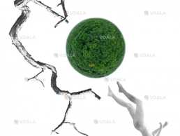 «lisova». За Лесею Українкою (онатоб) - VDALA.PRO