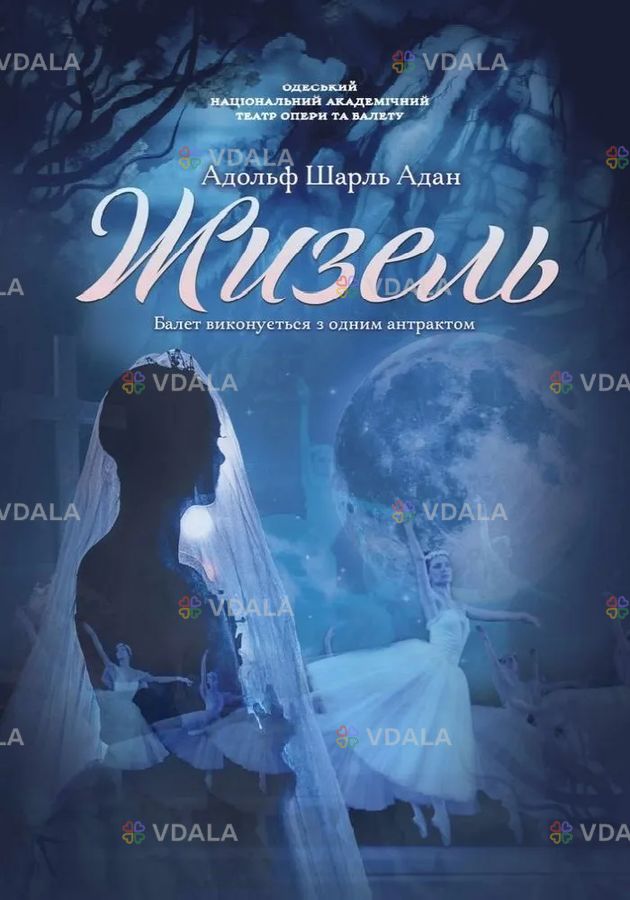 Жизель (онатоб) Жизель (онатоб) - VDALA.PRO