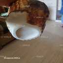 Продам горщики для квітів - VDALA.PRO - 4