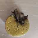 Продам копілку - VDALA.PRO - 3