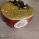 Продам копілку - VDALA.PRO - 4