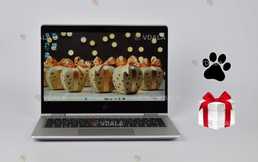 Сенсорний 13.3 ips hp ProBook х360 435 G7 R5 4500U Ноутбук Сенсорний 13.3 ips hp ProBook х360 435 G7 R5 4500U Ноутбук - VDALA.PRO