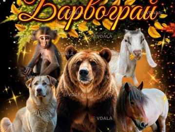 Цирк «барвограй!» 30 ноября 2025, 12:00 - VDALA.PRO