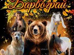 Цирк «барвограй!» 30 ноября 2025, 12:00 - VDALA.PRO
