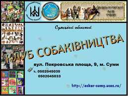Запрошуємо в клуб собаківництва Запрошуємо в клуб собаківництва - VDALA.PRO