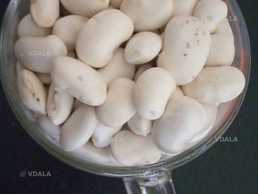 Квасоля соя боби - VDALA.PRO