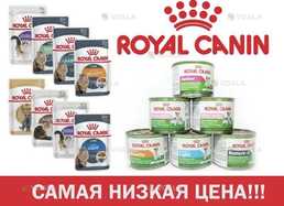 Консервы - VDALA.PRO